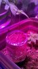 2011-03-09_13-00-37_600.jpg
