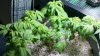 2011-03-10_18-28-59_639.jpg