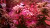 2010-10-24_13-31-54_794.jpg