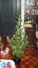 DSC00620.jpg
