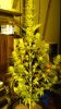 DSC00654.jpg