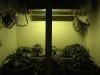 day_32-2.jpg