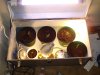 DSC01835.jpg