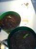 DSC01838.jpg