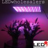 Grow_Light_Panel_001.jpg