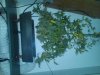 IMG00189-20110219-1954.jpg