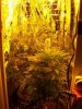 100_3273.jpg
