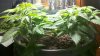2011-03-13_00-20-48_810.jpg
