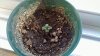 20110313_001.jpg