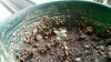 20110312_002.jpg