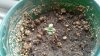 20110312_001.jpg