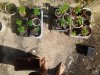 2011-03-13 15.28.17.jpg