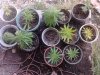 2011-03-13 15.27.50.jpg