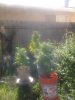 2011-03-13 15.30.25.jpg