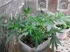 2011-03-14 00.27.26.jpg