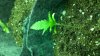 2011-03-14_07-11-26_859.jpg
