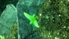 2011-03-14_07-11-48_684.jpg