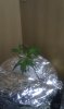 IMAG0281.jpg