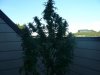 P1010007.jpg
