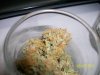 100_2883.jpg