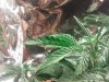 2011-03-17 22.56.22.jpg