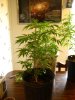 IMG_0157.jpg