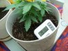 grow closet 011.jpg grow closet 011.jpg