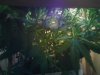 Bagseedlower.jpg