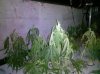 2011-03-17_11-30-36_520.jpg