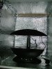 2011_03_05_03.jpg