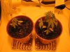 Repotted 1- 16.05.2008.jpg