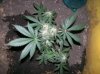 100_0754.jpg