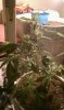 100MEDIA_IMAG0026.jpg