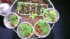 2011-03-19_23-06-49_76.jpg