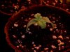 20110320002700.jpg