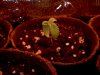 20110320002645.jpg