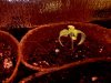 20110320002711.jpg