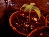 20110320002706.jpg