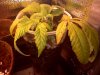 20110320002720.jpg