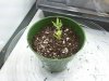 2011-03-21 14.12.04.jpg