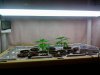 2010-12-31 10.58.37.jpg