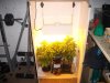 420 024.jpg
