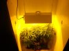 420 021.jpg