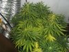 100_0724.jpg