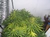 100_0723.jpg