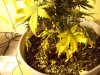100_3168.jpg