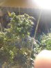 2011-03-24 15.48.38.jpg