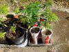 2011-03-24 16.08.46.jpg