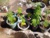 2011-03-24 15.42.13.jpg