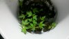 2011-03-22_00-34-29_264.jpg